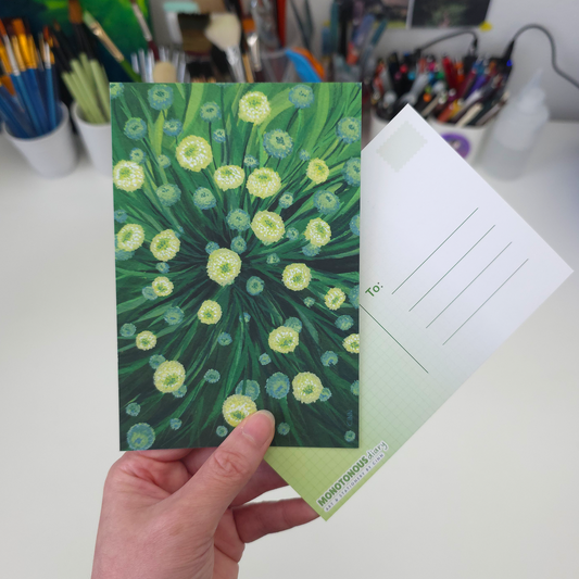 Santolina Verona Postcard