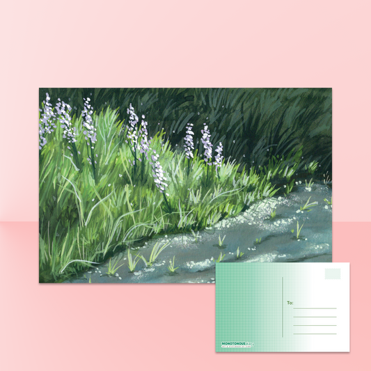 Lakeside Shimmer Postcard