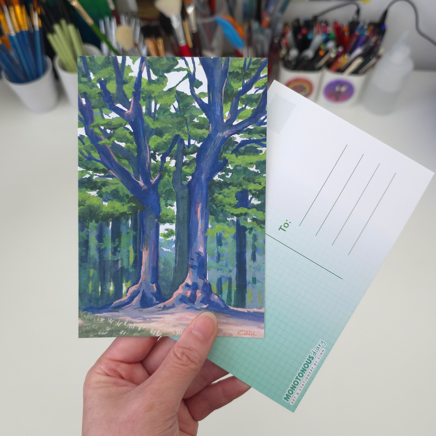 Twin Trees Postcard